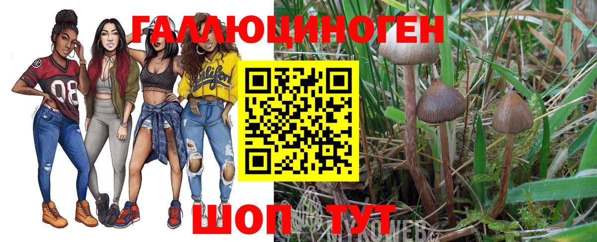Галлюциногенные грибы Magic Shrooms  Вход с VPN  Галлюциногенные грибы мицелий  закладки  Мытищи 