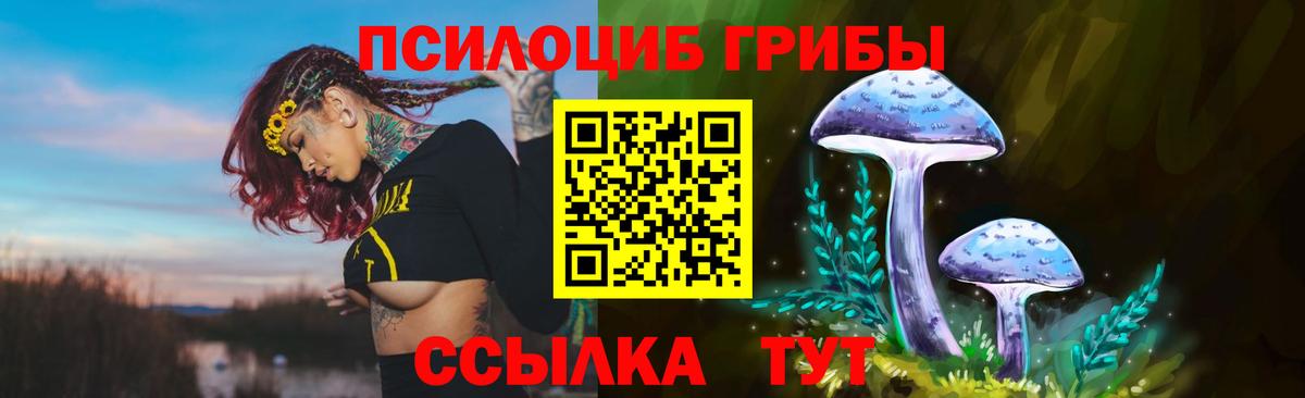 Галлюциногенные грибы ЛСД Мытищи